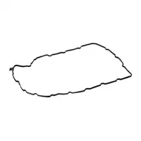 ELRING 981.270 Dichtung &Ouml;lwanne f&uuml;r VW Golf 7 2.0 GTI Tiguan 2.0 TSI unten 06K103649H