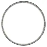 ELRING 844310 Dichtung Abgasrohr f&uuml;r CITROEN Berlingo C2 Xsara PEUGEOT 307 206 Partner 1.6