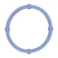 ELRING Dichtung Kr&uuml;mmerdichtung Ansaugbr&uuml;cke f&uuml;r JEEP Grand Cherokee 4 6.4 SRT8 4x4