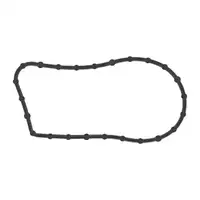 ELRING 039.490 Dichtung Wasserpumpe K&uuml;hlung Wasserpumpendichtung f&uuml;r FORD GT 3.5 EcoBoost