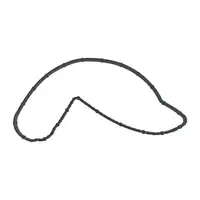 ELRING 177.000 Dichtung Wasserpumpe f&uuml;r FORD Explorer Ranger 3.0 EcoBoost