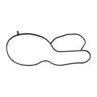 ELRING 249.160 Dichtung Wasserpumpe für VW Polo 5 6 SEAT Mii Ibiza 4 5 SKODA Fabia 3 1.0