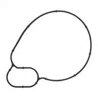 ELRING 251.050 Dichtung Wasserpumpe f&uuml;r BMW F10 F11 G30 X5 X6 F07 G11 G12 G14 G15 N63 S63