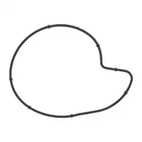 ELRING Dichtung Wasserpumpe f&uuml;r BMW 1er E81-88 3er E46 E90 E60 1.6 2.0 N40 N42 N45 N46