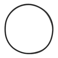 ELRING Dichtung Drosselklappenstutzen f&uuml;r BMW G20/21 G22/23/26 G30/31 X3 B48 13719797882