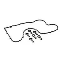 ELRING 202.810 Ventildeckeldichtungssatz f&uuml;r 3er G20 G21 G30 G31 G01 G02 G05 3.0D B57