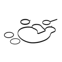 ELRING 113.600 Dichtungssatz Wasserpumpe f&uuml;r BMW G20 G21 G30 G32 G11 G12 G14 G15 B58