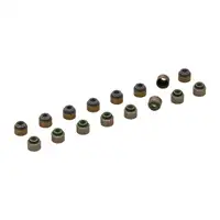 ELRING 084.300 Ventilschaftdichtungssatz Dichtungssatz Ventilschaft