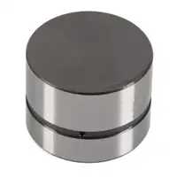 10x febi 08064 Ventilstößel für VW Golf 4 Crafter 2E 2F LT 2 Passat B5 B5 T4 034109309AD