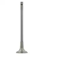 febi 26030 Auslassventil f&uuml;r PSA Berlingo C2 C3 C4 106 2 206 207 307 301 308 1 Partner 1.6