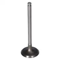 4x febi 181650 Einlassventil f&uuml;r PSA Berlingo C2 C3 106 2 206 207 Partner 1.1 1.4 0948.91