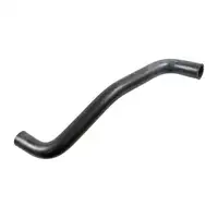 febi 192781 Kühlerschlauch Kühlwasserschlauch für NISSAN Micra 3 C+C Note 1.2 1.4 unten