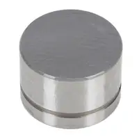 32x KOLBENSCHMIDT 50006421 Valve Tappet for MERCEDES W124, W210, W140, C140, M119 1040501225