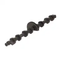 KOLBENSCHMIDT Nockenwelle f&uuml;r BMW F30/31 F22/23 F32/33/36 F10/11 N20 11377630747