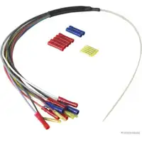 HERTH+BUSS ELPARTS Reparatursatz Kabelbaum Heckklappe f&uuml;r OPEL Agila A B RENAULT Scenic 1