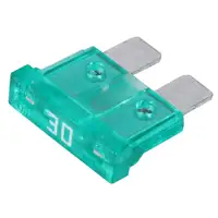 50x HERTH+BUSS ELPARTS Sicherung STANDARD-Flachstecksicherung 30A bis 32V GR&Uuml;N