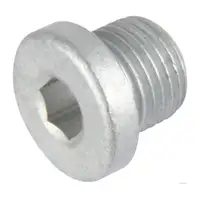 HERTH+BUSS &Ouml;lablassschraube M10x1,0 f&uuml;r AUDI BMW LAND ROVER MERCEDES SKODA SMART VW