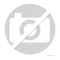 HERTH+BUSS JAKOPARTS Bremsscheiben Satz f&uuml;r BMW F40 F44-46 U06 X1 X2 MINI F54 F60 vorne