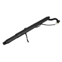 Heckklappend&auml;mpfer Elektromotor Heckklappe f&uuml;r BMW X6 F16 F86 bis 07.16 links 51247318651