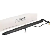 Heckklappend&auml;mpfer Elektromotor Heckklappe f&uuml;r BMW X6 F16 F86 bis 07.16 rechts 51247318652