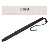 Heckklappend&auml;mpfer Elektromotor Gasfeder Heckklappe f&uuml;r BMW X4 F26 rechts 51247339432