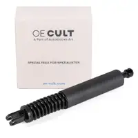 Heckklappend&auml;mpfer Gasdruckd&auml;mpfer Heckklappe f&uuml;r BMW 5er E39 Touring hinten 51248220072