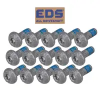 15x OE-Cult Linsenkopf Schraube Linsenkopfschraube M6x1x16 f&uuml;r VAG N91096702