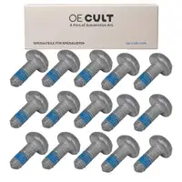 15x OE-Cult Linsenkopf Schraube Linsenkopfschraube M6x1x16 f&uuml;r VAG N91096702