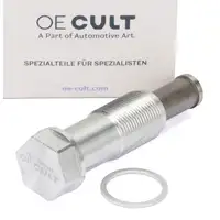 Kettenspanner Steuerkette f&uuml;r BMW 1er 2er 3er 4er 5er 6er 7er X1 X3 X4 X5 X6 11318490219