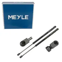 2x MEYLE 1409100076 Heckklappend&auml;mpfer Gasfeder f&uuml;r AUDI TT TTS TTRS 8J3 8J8827552A