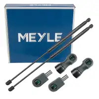 2x MEYLE 7409100019 Heckklappend&auml;mpfer D&auml;mpfer Heckklappe f&uuml;r FORD Focus 1 DNW 1146649