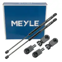 2x MEYLE 7409100029 Heckklappend&auml;mpfer D&auml;mpfer Heckklappe f&uuml;r FORD Focus 2 MK2 1321021