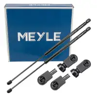 2x MEYLE 7409100033 Heckklappend&auml;mpfer D&auml;mpfer Heckklappe f&uuml;r FORD Focus 2 MK2 1349309
