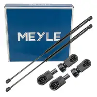 2x MEYLE 7409100035 Heckklappend&auml;mpfer D&auml;mpfer Heckklappe f&uuml;r FORD S-Max WA6 1434296