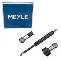 MEYLE 0409100003 Heckklappend&auml;mpfer f&uuml;r MERCEDES-BENZ R-Klasse W251 V251 links 2517400045