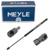 MEYLE 1409100025 Heckklappend&auml;mpfer D&auml;mpfer Heckklappe f&uuml;r AUDI A6 S6 RS6 C6 Avant/Allroad