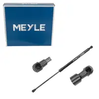 MEYLE 1409100026 Heckklappend&auml;mpfer D&auml;mpfer f&uuml;r AUDI A4 Avant B6 B7 8E5 8ED 8E9827552G