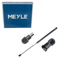 MEYLE 1409100119 Heckklappend&auml;mpfer D&auml;mpfer Heckklappe f&uuml;r AUDI A6 C7 4G2 4GC 4G5827919