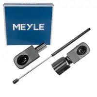 MEYLE Heckklappend&auml;mpfer Gasfeder D&auml;mpfer Heckklappe f&uuml;r SKODA Enyaq iV 5LG827551B