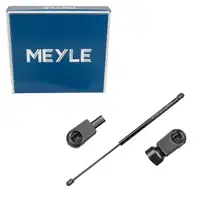 MEYLE 16-409100015 Heckklappend&auml;mpfer D&auml;mpfer Heck f&uuml;r RENAULT Megane 2 8200119498