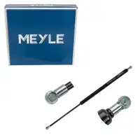 MEYLE 16-409100016 Heckklappend&auml;mpfer D&auml;mpfer f&uuml;r RENAULT Scenic 2 Grand 2 8200377199