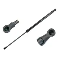 2x MEYLE 16409100036 Heckklappend&auml;mpfer Gasfeder f&uuml;r RENAULT Grand/Scenic 3 904500004R