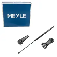 MEYLE 16-409100031 Heckklappend&auml;mpfer D&auml;mpfer Heck f&uuml;r RENAULT Laguna 3 844300004R
