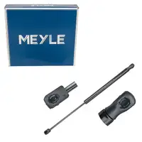 MEYLE 16-409100041 Heckklappend&auml;mpfer D&auml;mpfer Heck f&uuml;r RENAULT Megane 3 844300009R