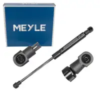 MEYLE Heckklappend&auml;mpfer Gasfeder D&auml;mpfer f&uuml;r FIAT 500C ABARTH 500C/595C/695C 51859965