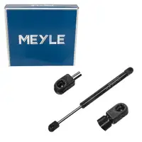 MEYLE 3401610022 Heckklappend&auml;mpfer D&auml;mpfer Heck f&uuml;r BMW 3er Cabriolet Coupe 51241960862