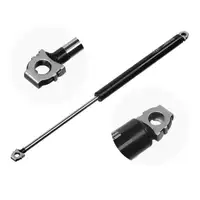 2x MEYLE 3401610310 Heckklappend&auml;mpfer D&auml;mpfer Heckklappe f&uuml;r BMW 5er E34 Limo 51248110327