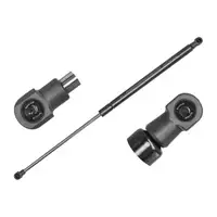 MEYLE 3409100028 Heckklappend&auml;mpfer Gasfeder f&uuml;r BMW 4er F33 F83 51247295244