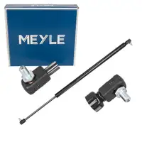 MEYLE Heckklappend&auml;mpfer Gasfeder D&auml;mpfer Heckklappe f&uuml;r CHRYSLER Voyager 4 04894554AG