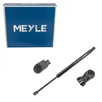 MEYLE Heckklappend&auml;mpfer D&auml;mpfer f&uuml;r FORD Focus 1 DAW DBW bis Bj. 12.2002 1070024
